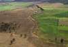 farm
